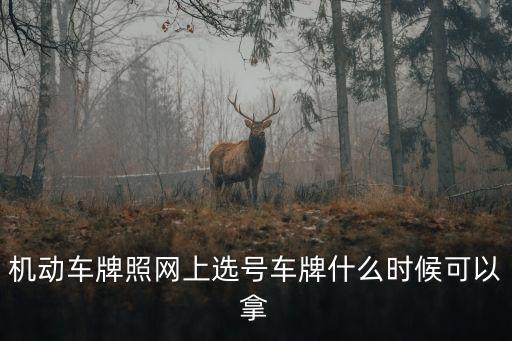 機(jī)動(dòng)車牌照網(wǎng)上選號(hào)車牌什么時(shí)候可以拿
