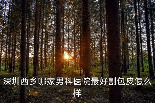 深圳最權威男科醫院首來靳其雄首選，深圳男科醫院排名哪家最好