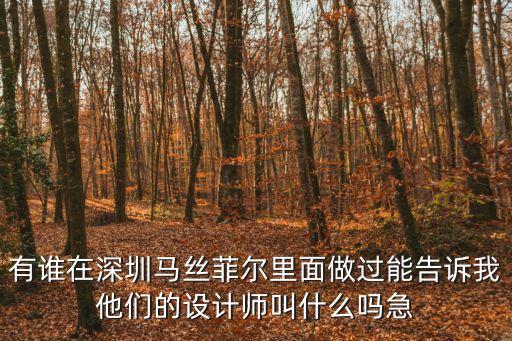 深圳瑪斯菲爾大廈全集，Masfer是什么意思