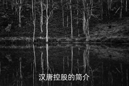 漢唐控股的簡介