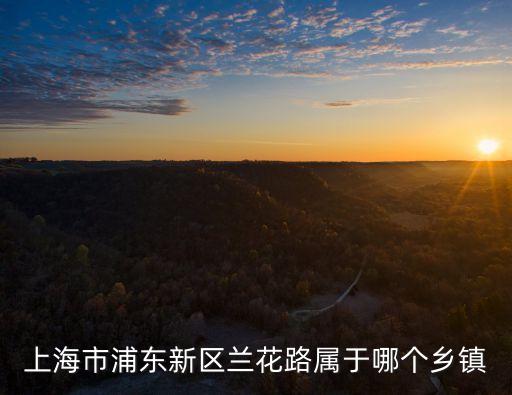 上海市浦東新區蘭花路屬于哪個鄉鎮