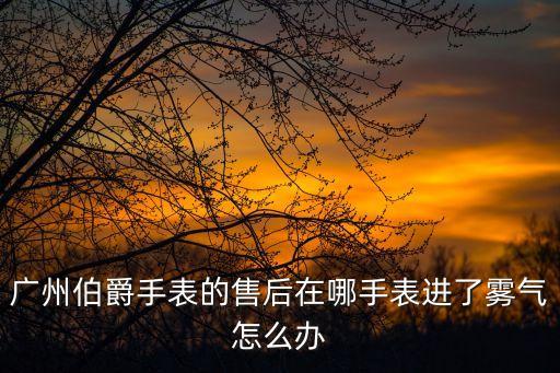 廣州伯爵手表的售后在哪手表進了霧氣怎么辦