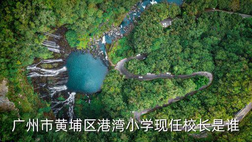 廣州市黃埔區港灣小學現任校長是誰