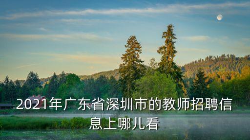 2021年廣東省深圳市的教師招聘信息上哪兒看