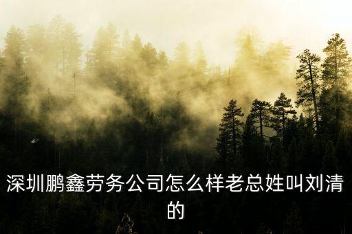 深圳鵬鑫勞務公司怎么樣老總姓叫劉清的
