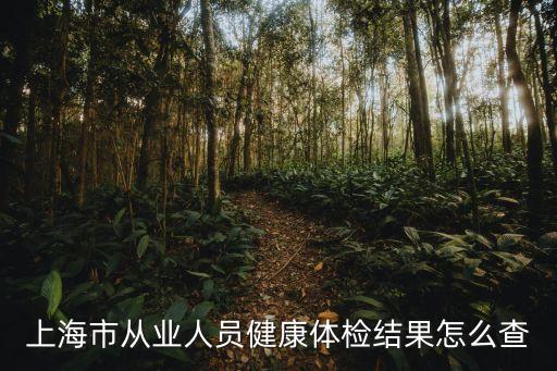 上海市從業(yè)人員健康體檢結(jié)果怎么查