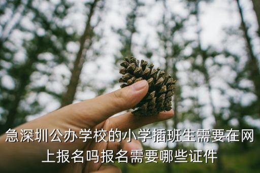 急深圳公辦學校的小學插班生需要在網上報名嗎報名需要哪些證件