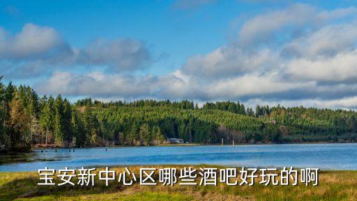 寶安新中心區(qū)哪些酒吧好玩的啊