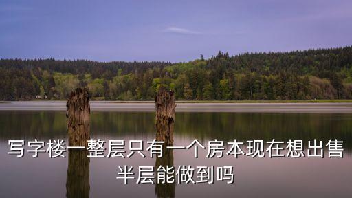 寫字樓一整層只有一個房本現(xiàn)在想出售半層能做到嗎