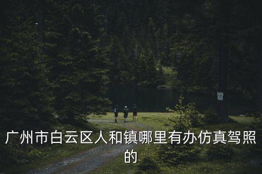 廣州市白云區人和鎮哪里有辦仿真駕照的