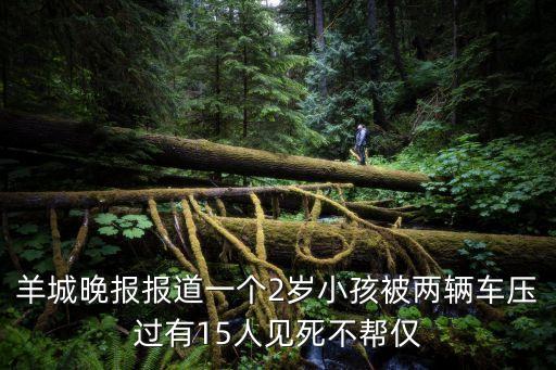 羊城晚報報道一個2歲小孩被兩輛車壓過有15人見死不幫僅