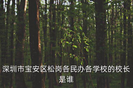 校長招聘信息深圳，深圳市寶安區(qū)松崗各民辦各學(xué)校的校長是誰