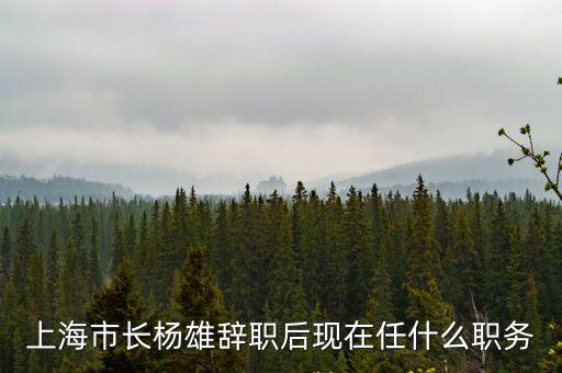 上海市長(zhǎng)楊雄辭職后現(xiàn)在任什么職務(wù)