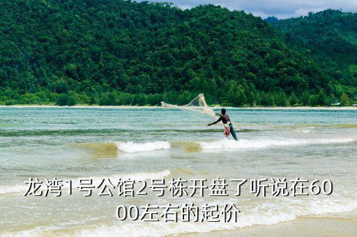龍灣1號公館2號棟開盤了聽說在6000左右的起價