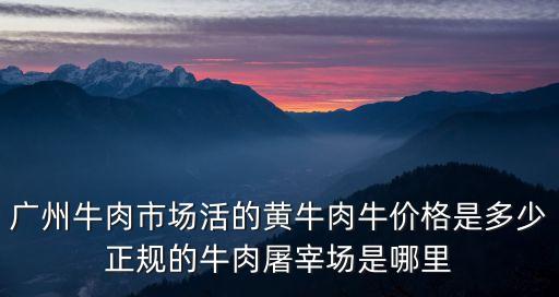 廣州牛肉市場活的黃牛肉牛價格是多少正規的牛肉屠宰場是哪里