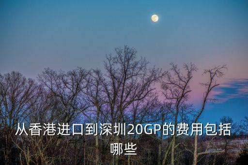 從香港進口到深圳20GP的費用包括哪些