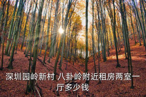 深圳園嶺新村 八卦嶺附近租房?jī)墒乙粡d多少錢