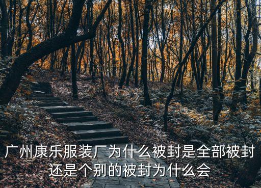 廣州康樂服裝廠為什么被封是全部被封還是個別的被封為什么會