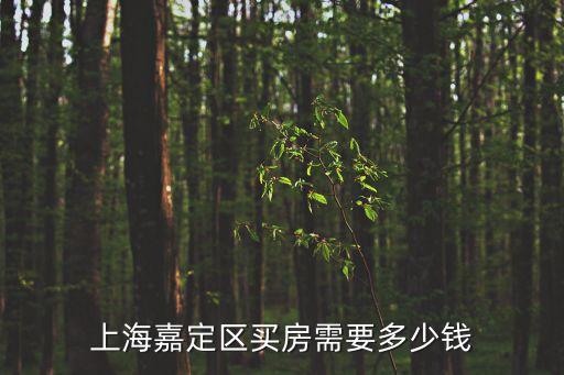 上海嘉定區(qū)買房需要多少錢