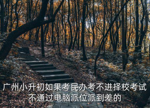 廣州小升初如果考民辦考不進擇校考試不通過電腦派位派到差的
