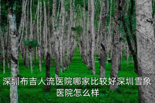 布吉打胎問深圳怡康，深圳布吉人流醫(yī)院哪家比較好深圳雪象醫(yī)院怎么樣
