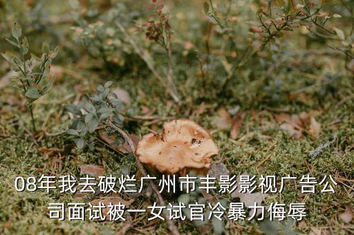 梁明亮 廣州，08年我去破爛廣州市豐影影視廣告公司面試被一女試官冷暴力侮辱
