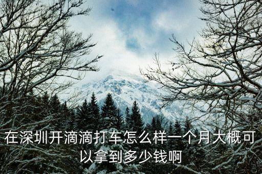 現(xiàn)在深圳開(kāi)滴滴一個(gè)月大概多少錢(qián)，在深圳開(kāi)滴滴打車(chē)怎么樣一個(gè)月大概可以拿到多少錢(qián)啊
