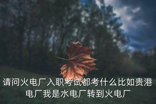 請(qǐng)問火電廠入職考試都考什么比如貴港電廠我是水電廠轉(zhuǎn)到火電廠