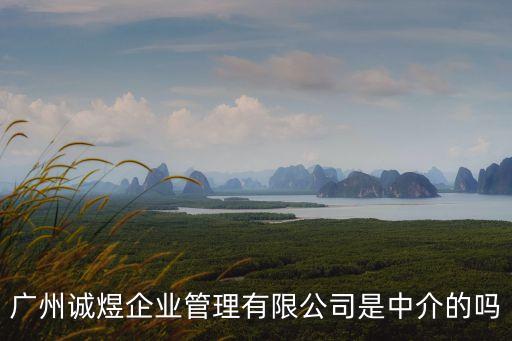 廣州誠奧企業管理有限公司，廣州誠煜企業管理有限公司是中介的嗎