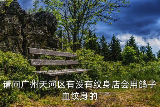 廣州天河區鴿子，2013廣州哪里有可以喂鴿子的地方