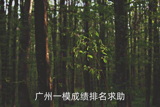 廣州一模成績排名求助