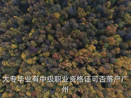 專科能廣州入戶口，大專學歷 有房產有社保怎么入廣州戶口