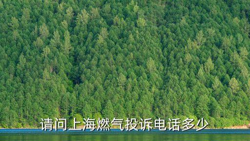 上海市北燃氣公司客服熱線，請問上海燃氣投訴電話多少