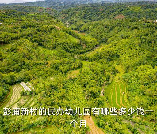 上海市彭浦實驗幼兒園招生，上海徐匯區現在有那個幼兒園還招生