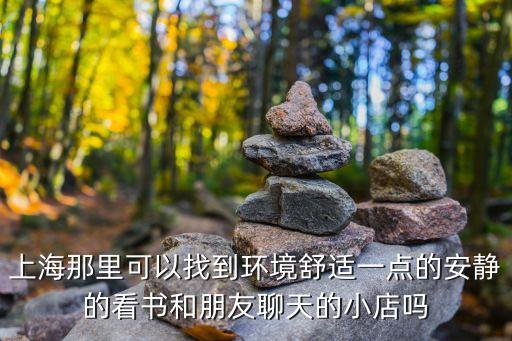 上海市最舒適的圖書館，上海那里可以找到環境舒適一點的安靜的看書和朋友聊天的小店嗎