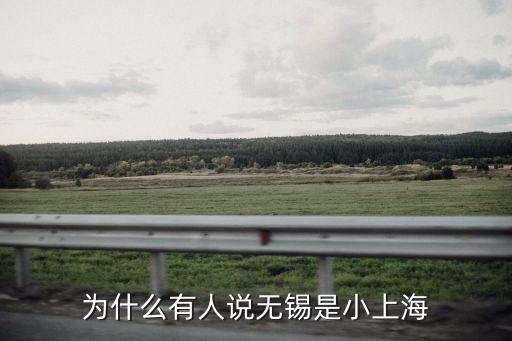 無錫市小上海市場，為什么江蘇無錫市號稱小上海