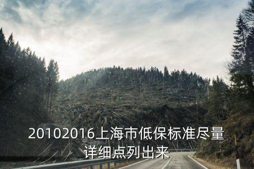 上海市何年實(shí)行低保政策，上海低保新政策