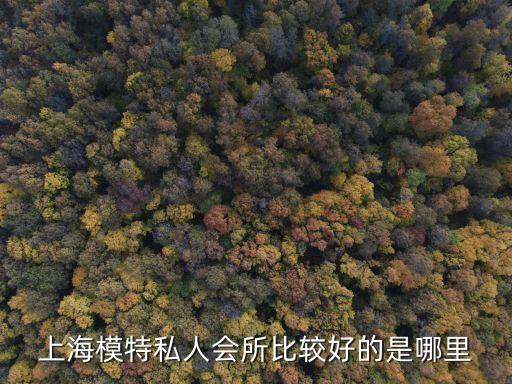上海市私人會所哪里有，上海哪家的私人婚禮會所好