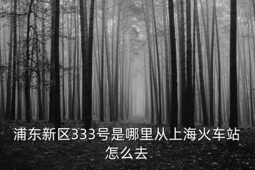 浦東新區333號是哪里從上海火車站怎么去