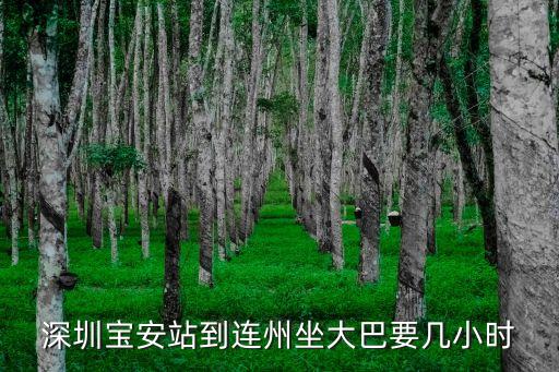 深圳寶安站到連州坐大巴要幾小時(shí)