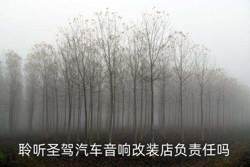 聆聽圣駕汽車音響改裝店負責任嗎