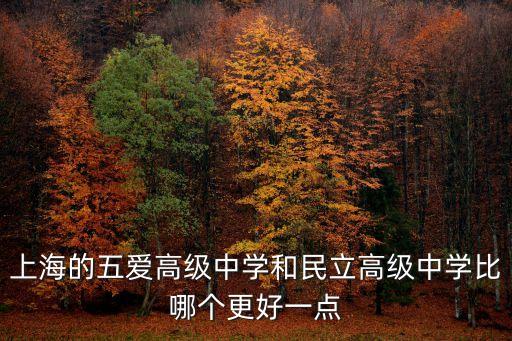 上海的五愛高級中學和民立高級中學比哪個更好一點