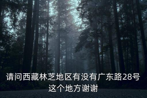 請問西藏林芝地區有沒有廣東路28號這個地方謝謝