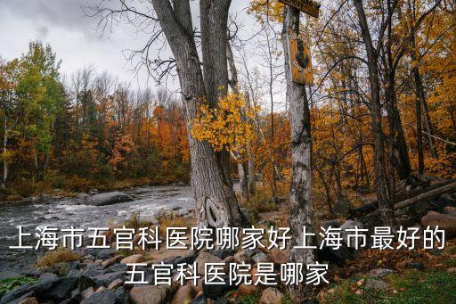 上海市五官科醫院呂嘉華，上海市五官科醫院哪家好上海市最好的五官科醫院是哪家