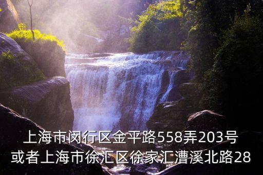 上海市閔行區金平路558弄203號或者上海市徐匯區徐家匯漕溪北路28