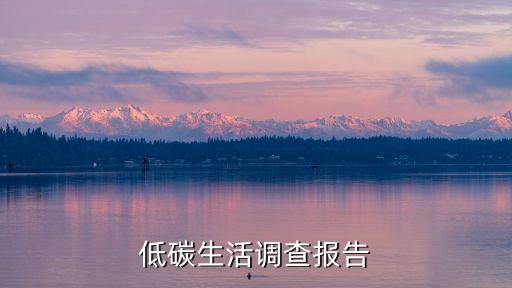 低碳生活調查報告