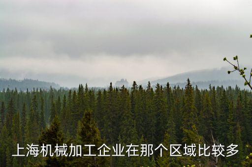 上海機械加工企業在那個區域比較多