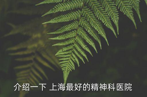 介紹一下 上海最好的精神科醫(yī)院