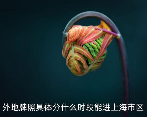 外地車早上可以進上海市區嗎，外地車能進上海市區嗎