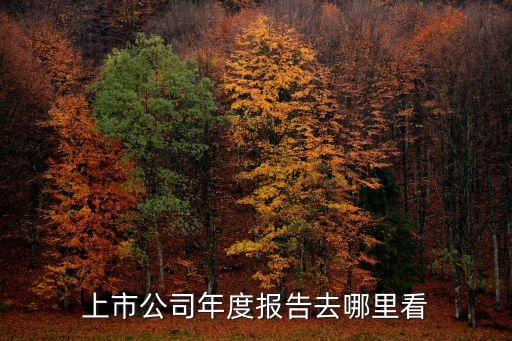 上市公司年度報(bào)告去哪里看